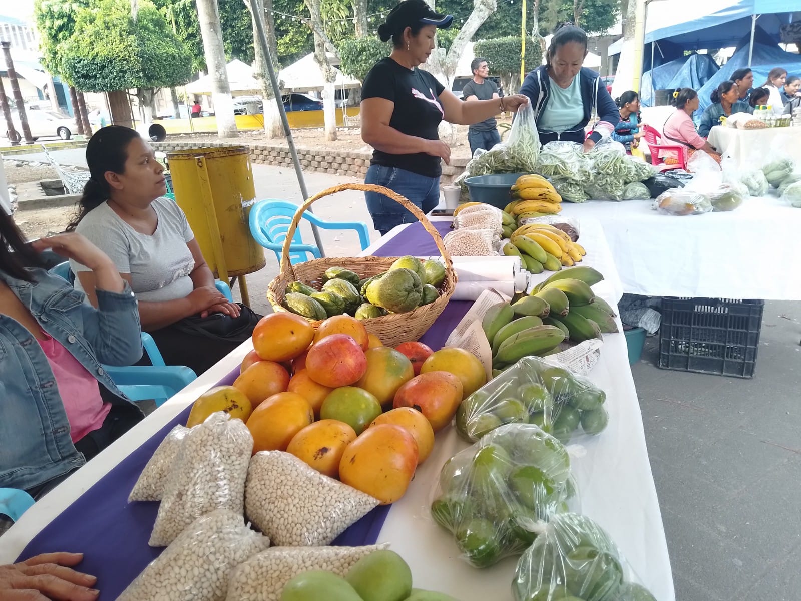 Mercadito Solidario Agroecológico 